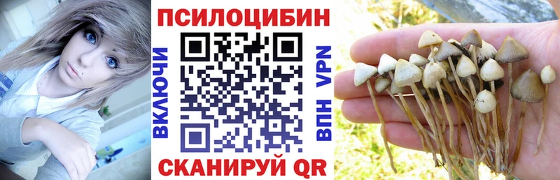Галлюциногенные грибы Magic Shrooms  Николаевск 